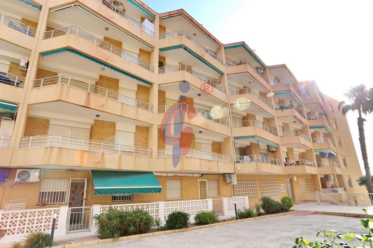 Venta de piso en Piso en Calle Argentina, 60, Guardamar Playa, Guardamar del Segura, Guardamar del Segura
photo 4