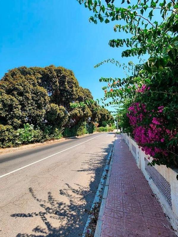 Продажа таунхауса в  Chalet adosado en Urbanización los Altos, Los Balcones - Los Altos del Edén, Torrevieja , Торревьеха photo 4
