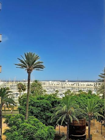 Mieszkanie na sprzedaż w Piso en Ensanche-Diputación, Alicante / Alacant, Alicante / Alacant photo 1