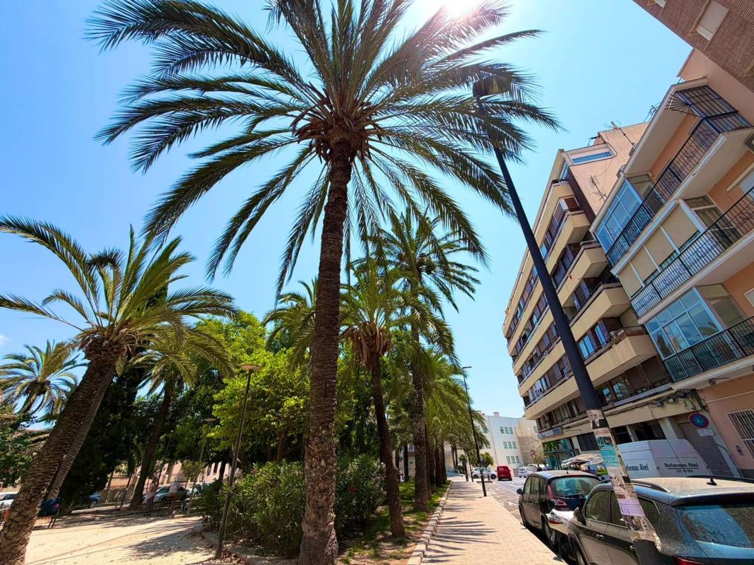Sprzedaż mieszkania w Campoamor-Carolinas-Altozano, Alicante / Alacant
photo 2
