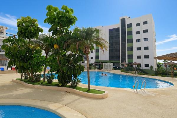 Продажа квартиры на Piso en Mil Palmeras, Pilar de la Horadada, Пилар де ла Орадада
 photo 1