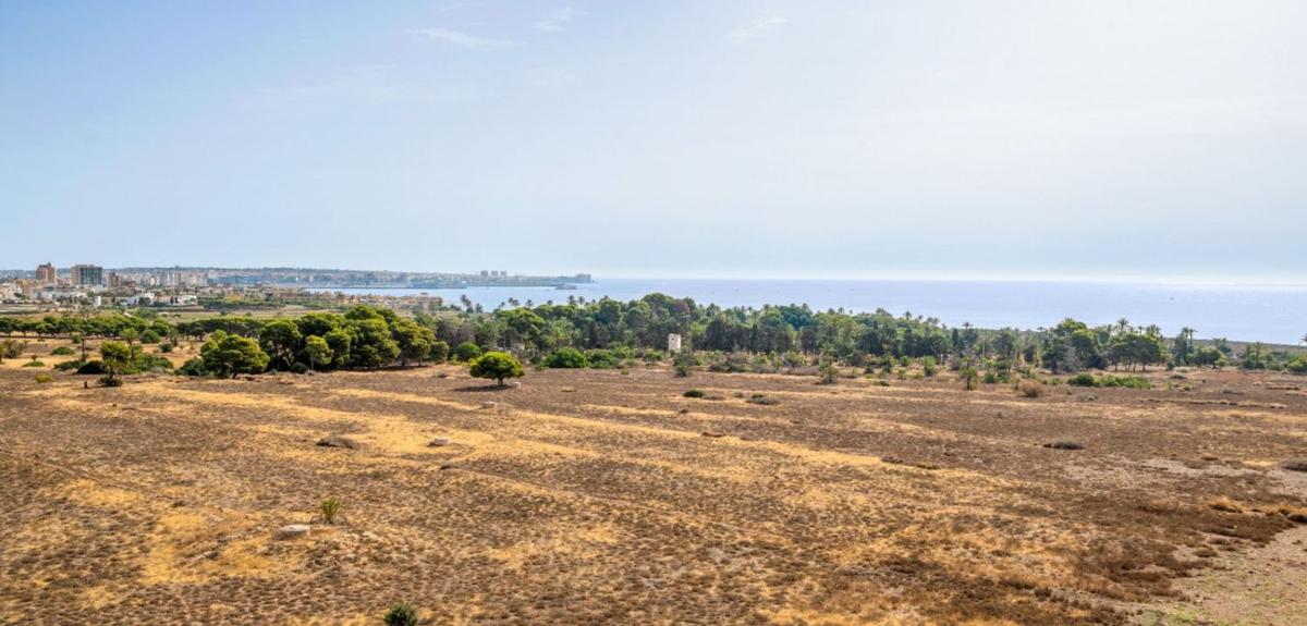 Sprzedaż mieszkania w Piso en Punta Prima, Torrevieja, Torrevieja
photo 5