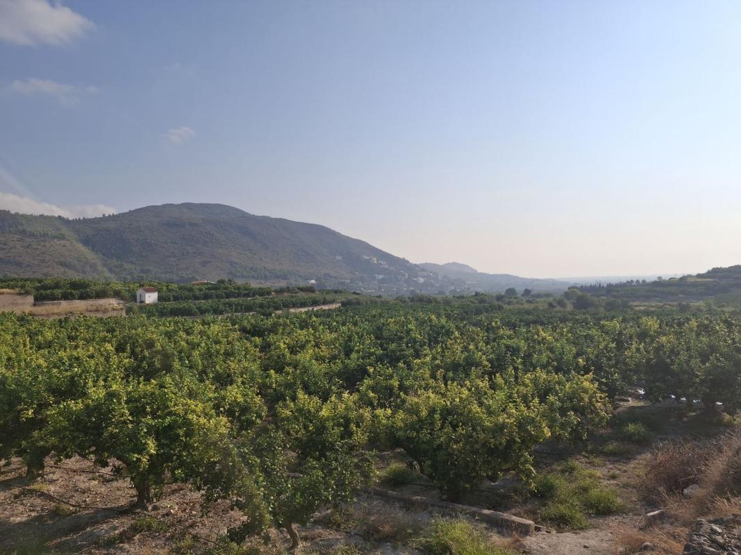 Terreno en venta en Pego, Alicante photo 2