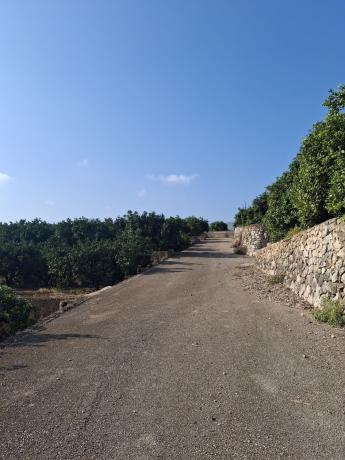 Terreno en Poligono parcela, 14, Pego photo 3