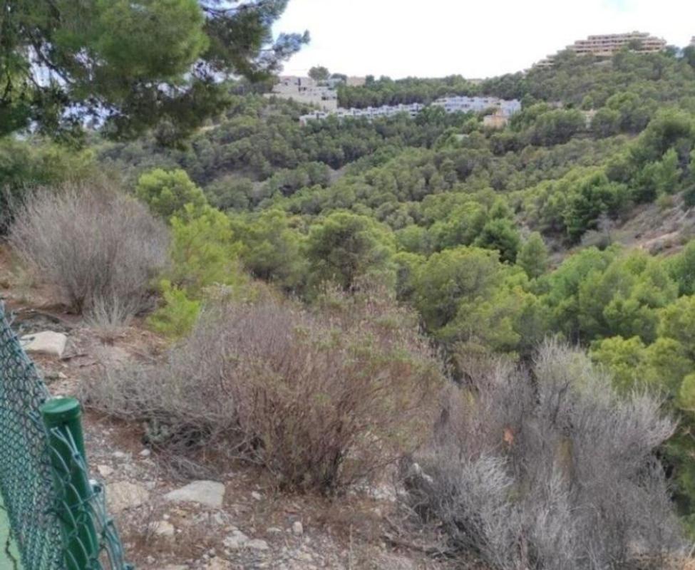 Terreno en venta en Altea, Alicante photo 2