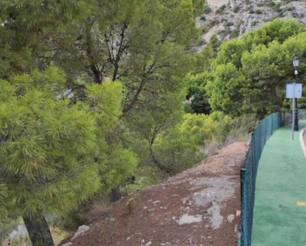 Terreno en venta en Altea, Alicante photo 4