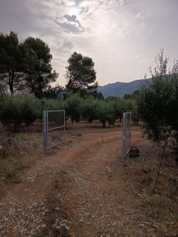 Działka na sprzedaż w Val de Gallinera, Alicante photo 2