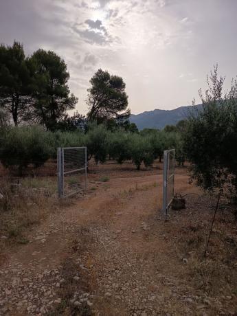 Terreno en Calle carretera s/n, Vall de Gallinera thumbnail 2