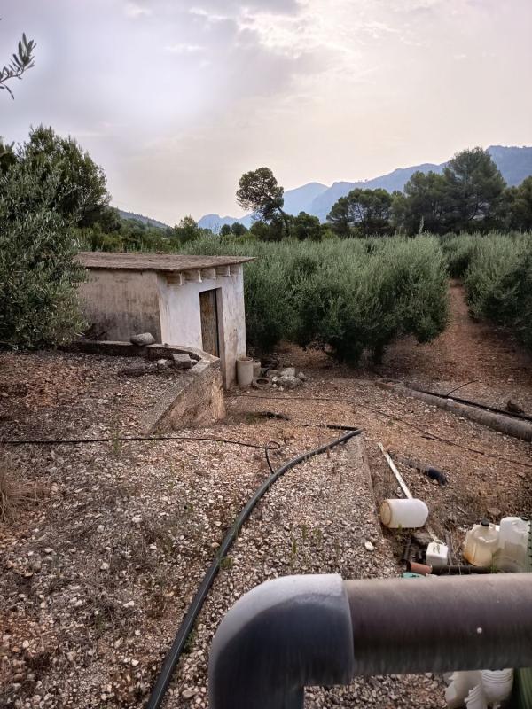 Działka na sprzedaż w Val de Gallinera, Alicante photo 4