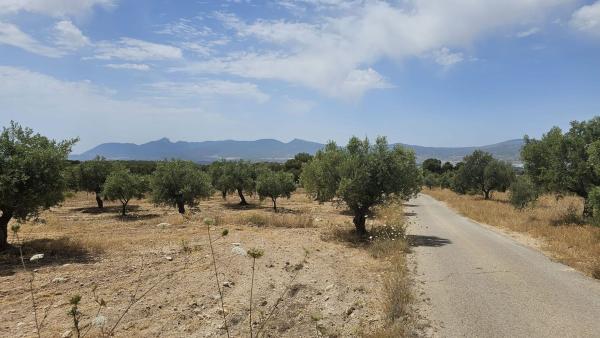 Terreno en Camino de Carascalet, Onil thumbnail 3