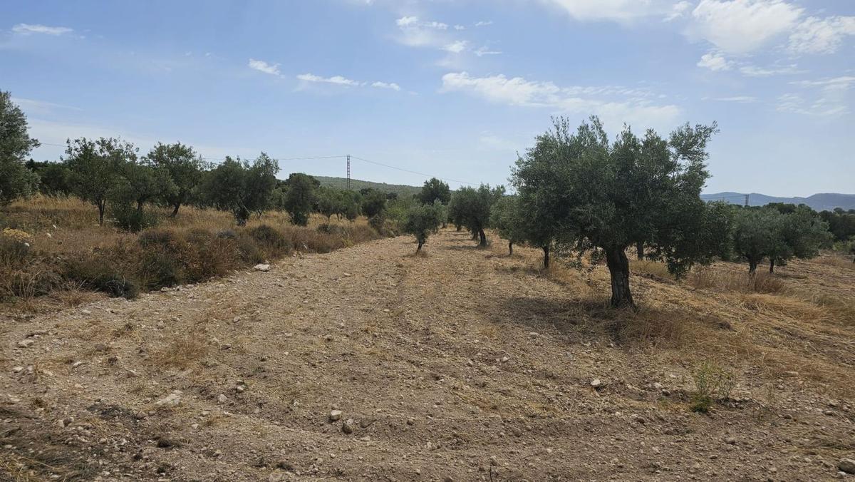 Działka na sprzedaż w Onil, Alicante photo 4