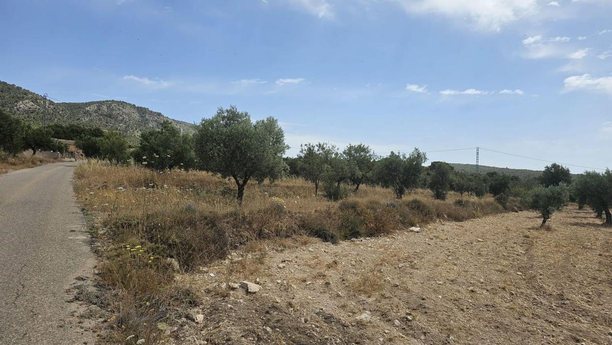 Działka na sprzedaż w Onil, Alicante photo 5