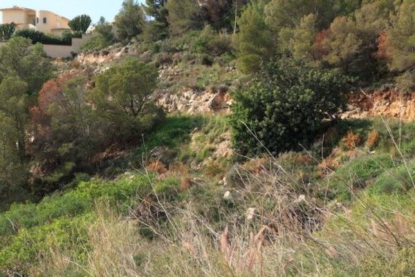 Terreno en Altea la Vella, Altea thumbnail 3