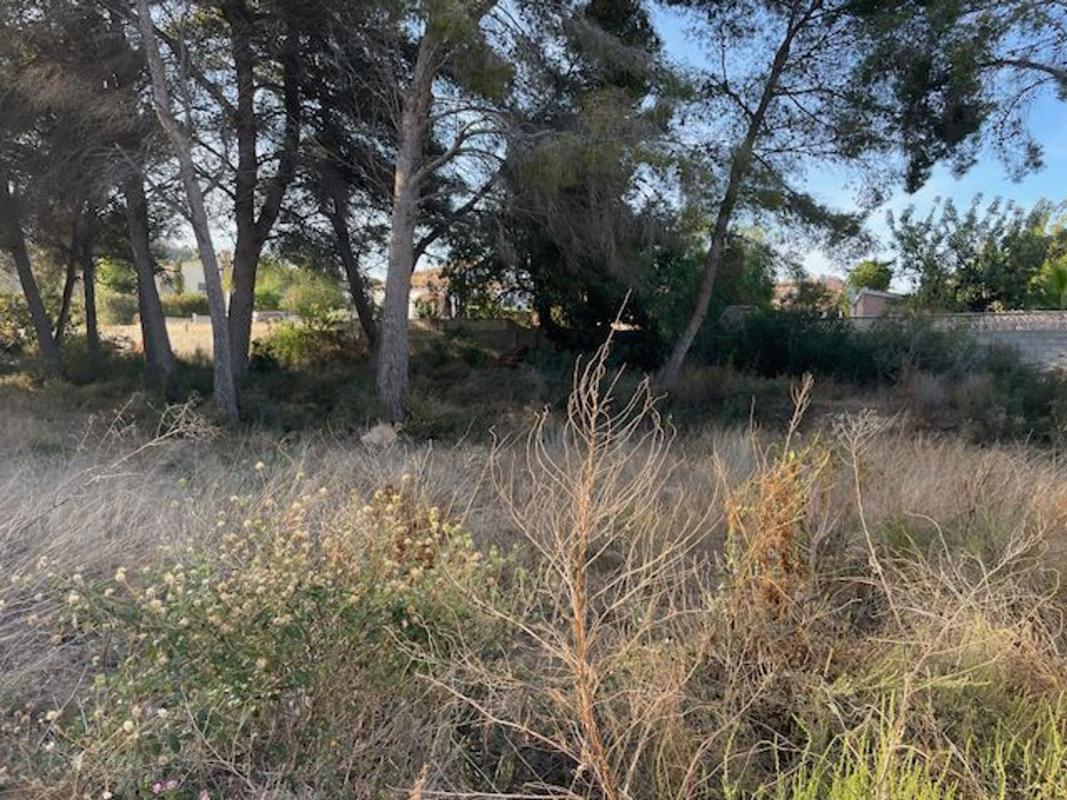 Terreno en venta en Moraira, Alicante photo 4
