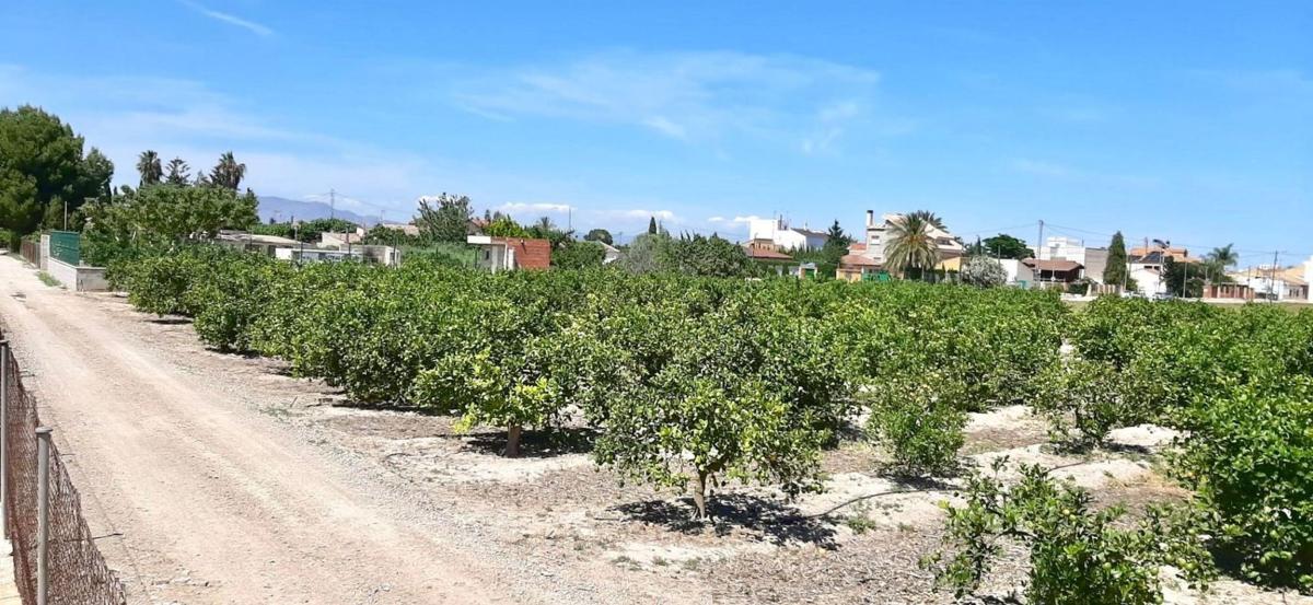 Terreno en venta en Orihuela, Alicante photo 4