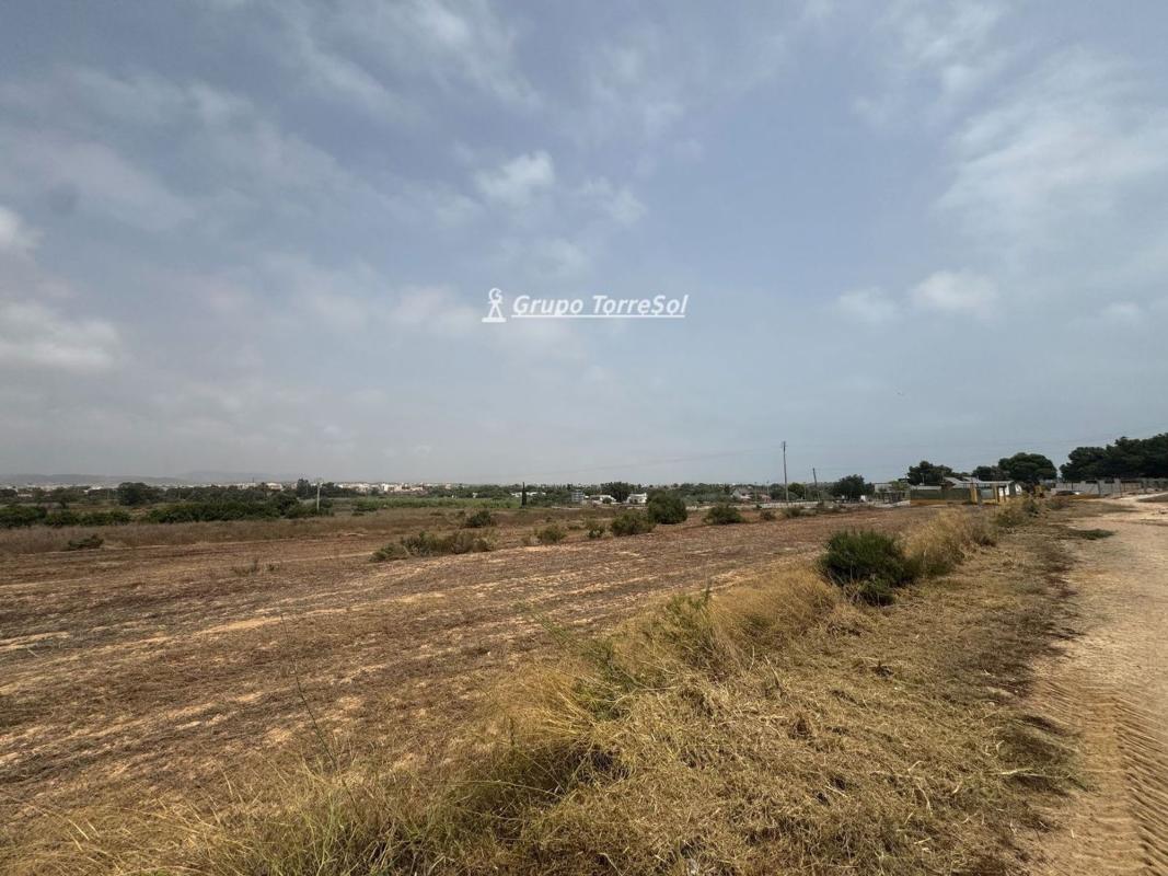 Terreno en venta en Elche / Elx, Alicante photo 5
