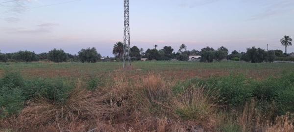 Terreno en Algoda-Matola-Llano de San José, Elche / Elx photo 1