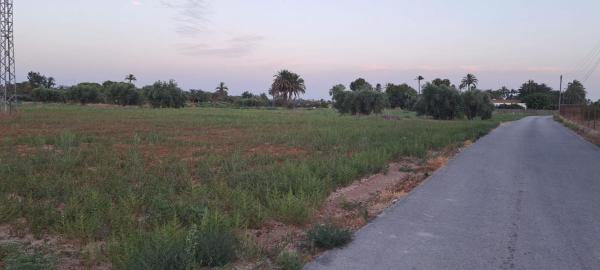 Terreno en Algoda-Matola-Llano de San José, Elche / Elx thumbnail 2