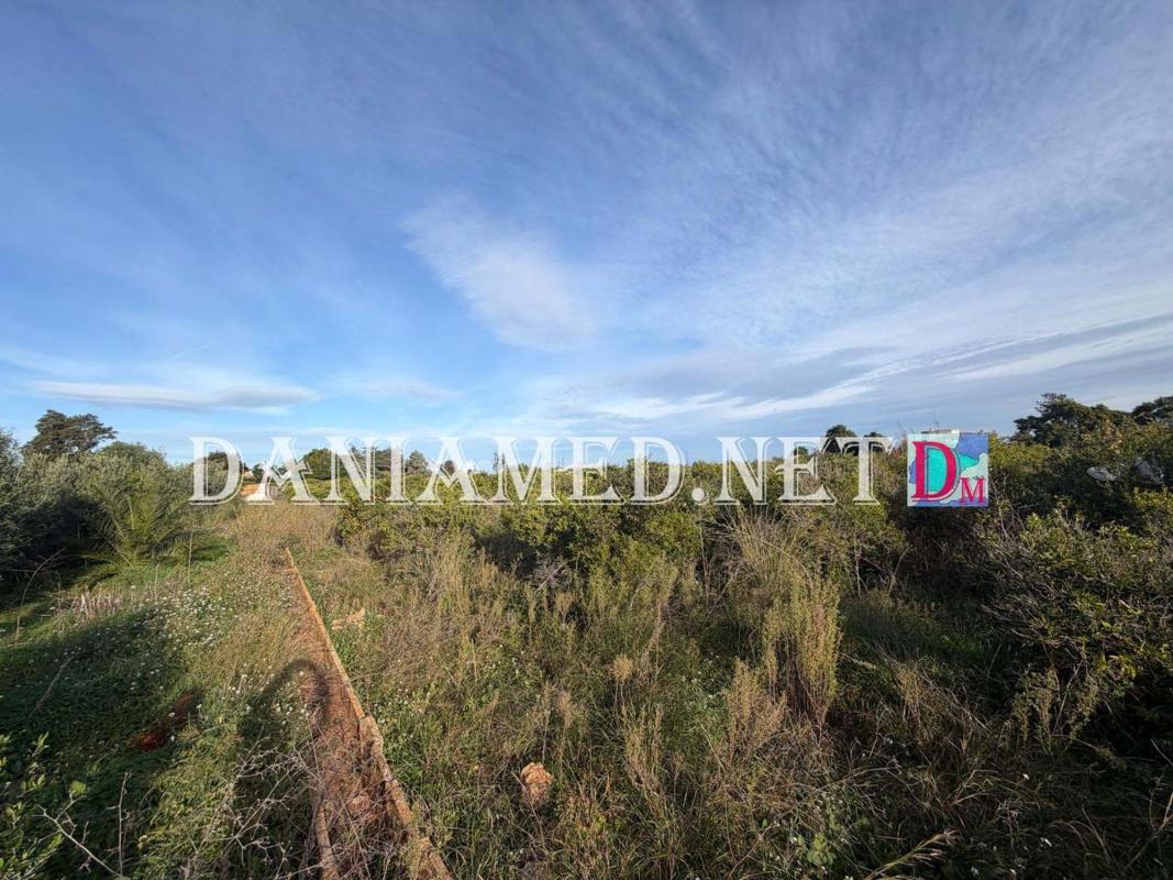 Land for sale in Finestrat, Alicante photo 3