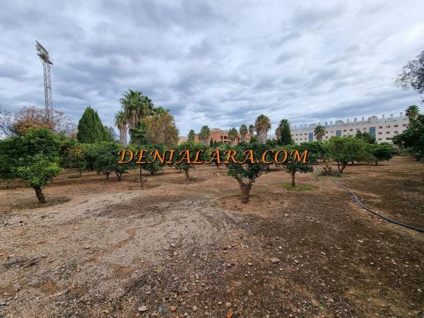 Terreno en Les Bassetes-El Marjal, Denia photo 1