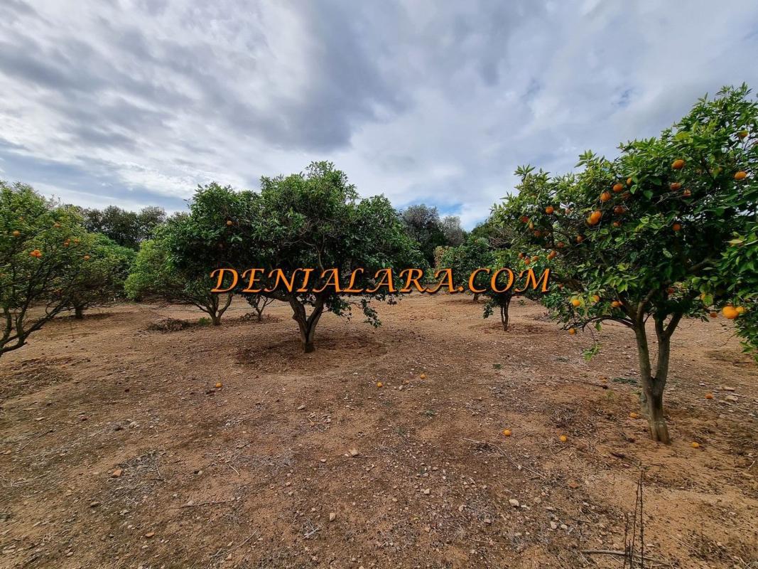 Terreno en venta en Denia, Alicante photo 4