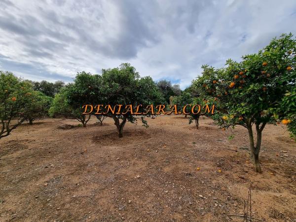 Terreno en Les Bassetes-El Marjal, Denia photo 4