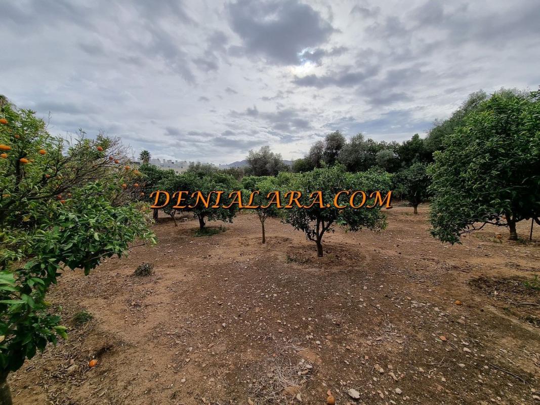 Terreno en venta en Denia, Alicante photo 5