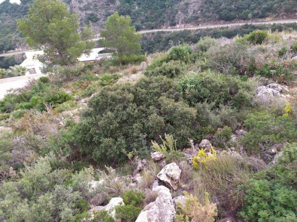 Terreno en Devesses - Monte Pego, Denia thumbnail 1