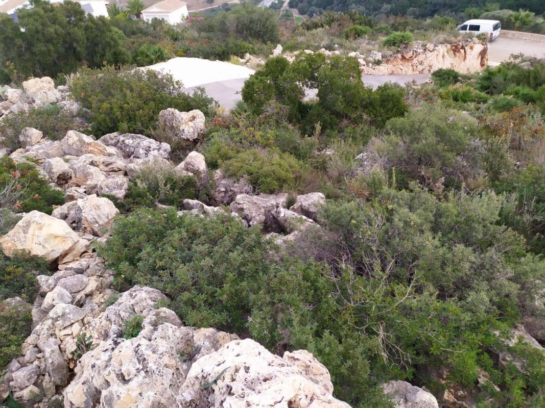 Land for sale in Denia, Alicante photo 3