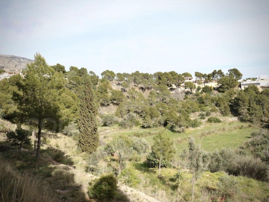 Terreno en venta en Altea, Alicante photo 5