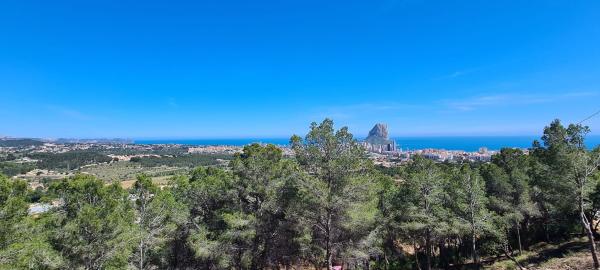 Terreno en Oltamar-Cucarres, Calpe photo 1