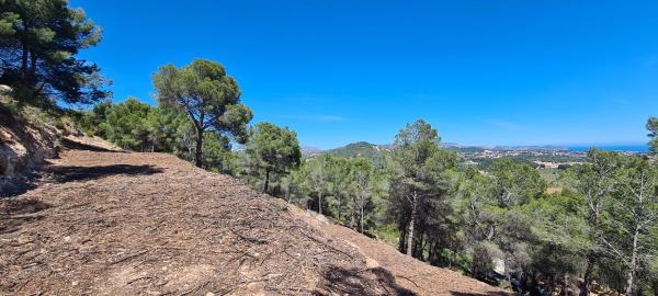 Terreno en Oltamar-Cucarres, Calpe photo 4