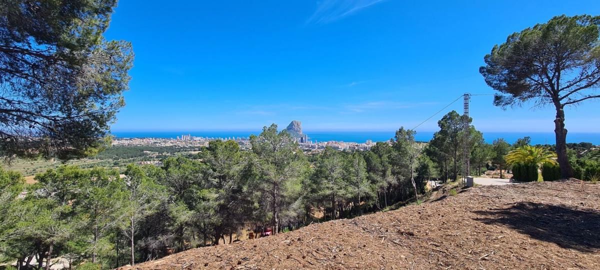 Terreno en venta en Calpe, Alicante photo 5