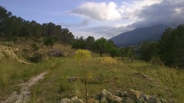 Terreno en Benissa pueblo, Benissa thumbnail 2