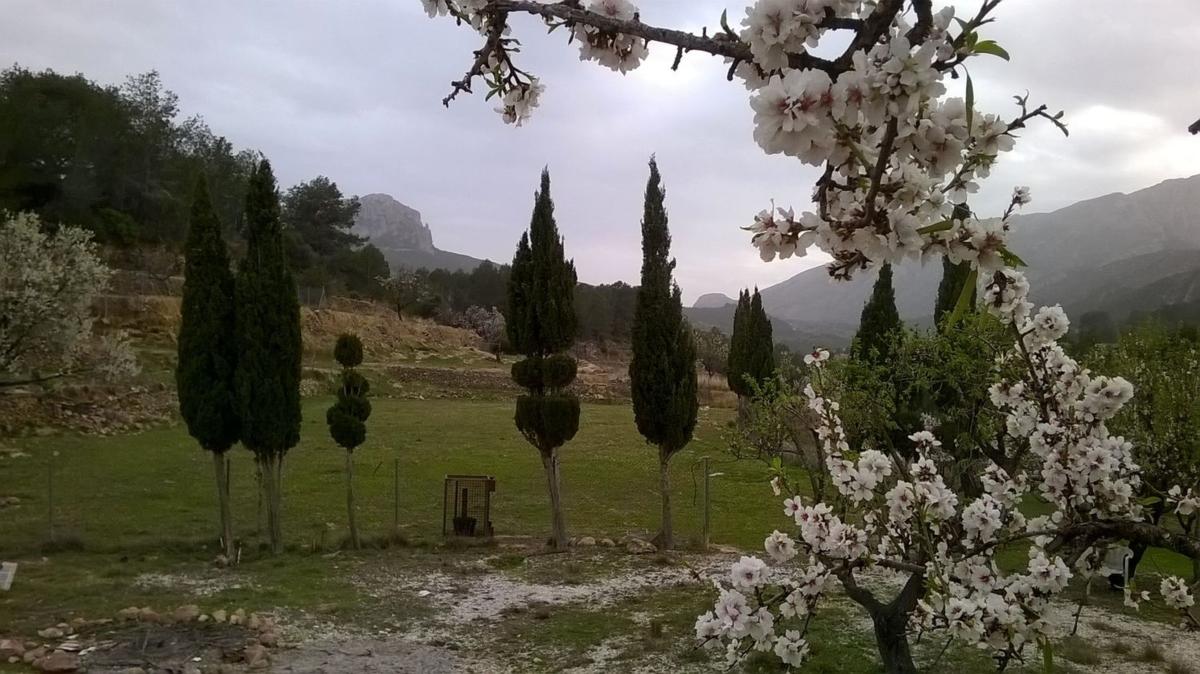 Terreno en venta en Benissa, Alicante photo 5