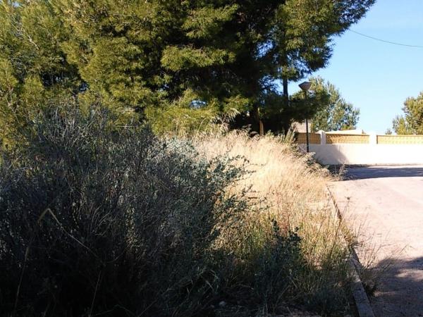 Terreno en Cometa-Carrió, Calpe photo 3