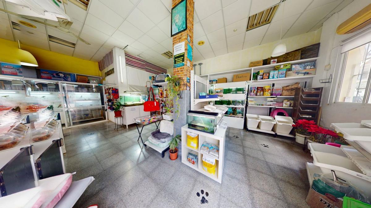 Properties for sale and rent in Spain photo 5