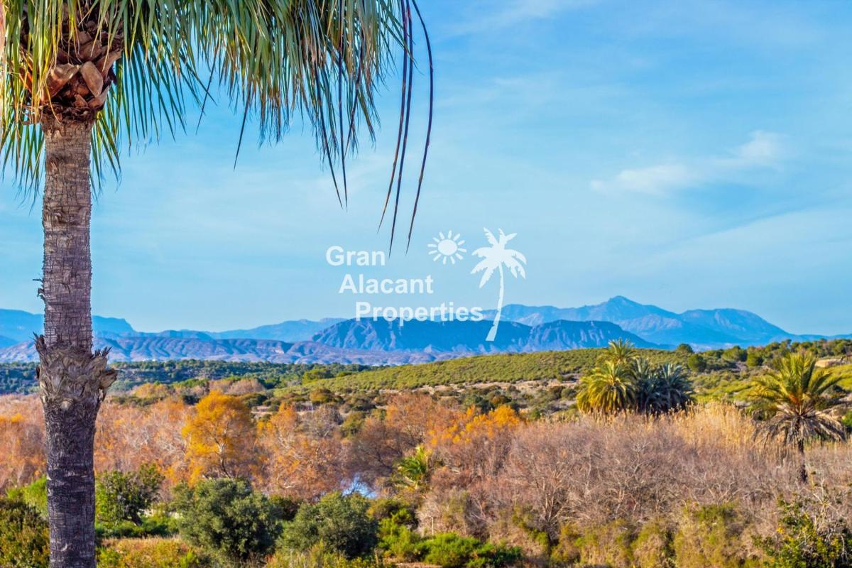 Properties for sale and rent in Spain photo 4