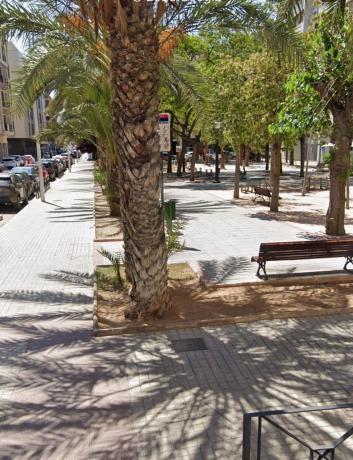 Negocio en Altabix, Elche / Elx photo