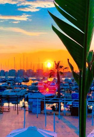 Restaurante en Puerto deportivo marina salinas, 25, Centro - Muelle Pesquero, Torrevieja photo 1