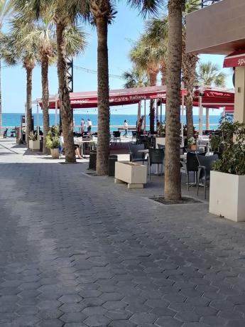 Cafetería en Plaza del Torrejo, 5, Puerto, Benidorm photo 1