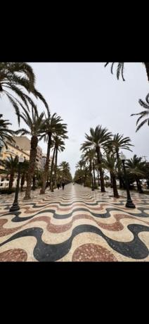Bar en Paseo Esplanada d'Espanya, 21, Centro Tradicional, Alicante / Alacant thumbnail 2