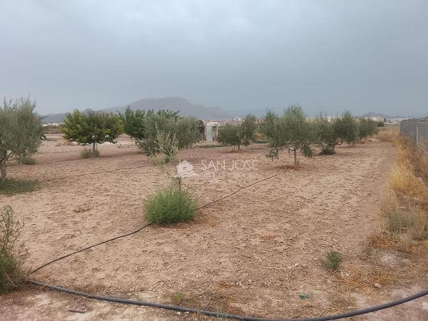 Terreno en Monforte del Cid photo 4