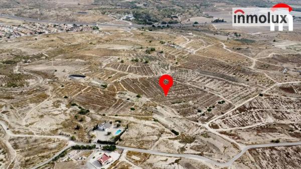 Terreno en Camino de Santa Ana a Alicante, Jubalcoi-Saladas, Elche / Elx thumbnail 2