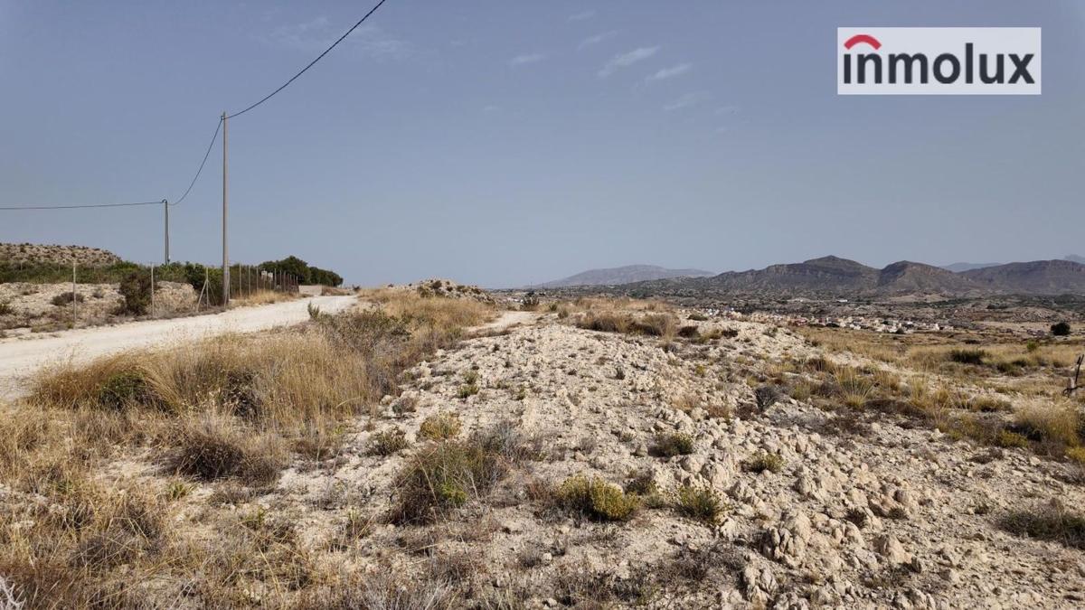 Działka na sprzedaż w Elche / Elx, Alicante photo 4