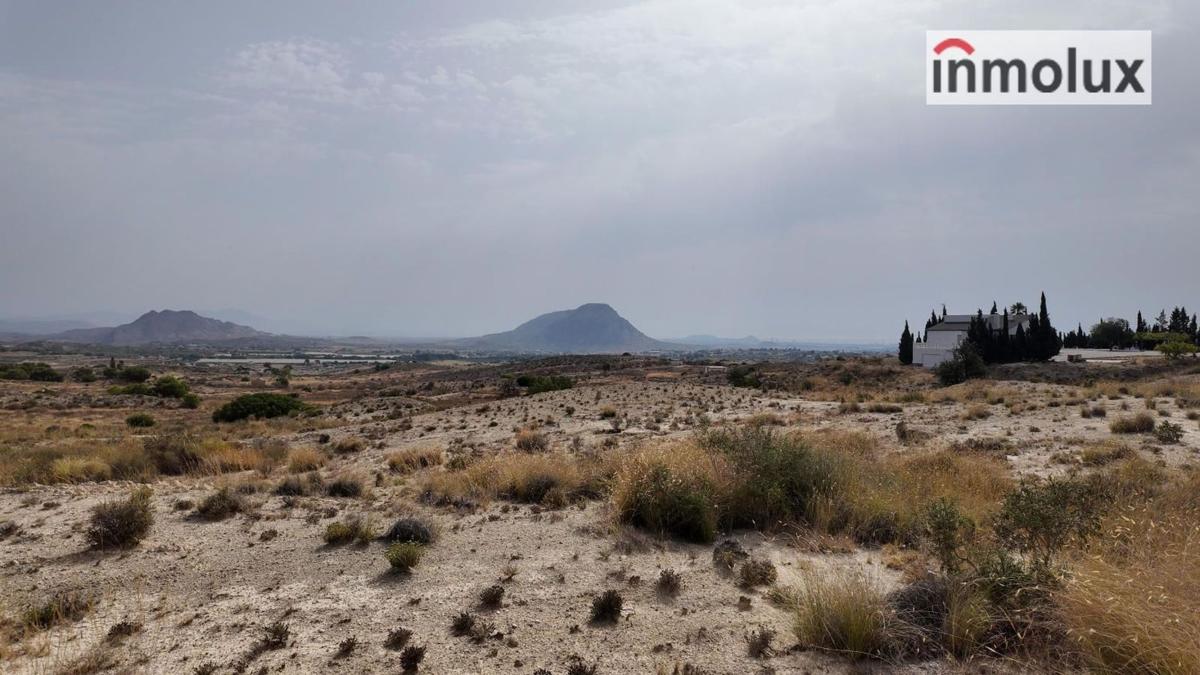 Działka na sprzedaż w Elche / Elx, Alicante photo 5