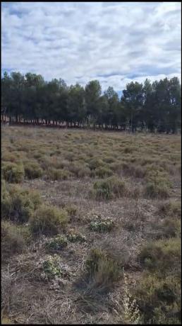 Terreno en Partida cabezos, 34, Las Virtudes, Villena thumbnail 1