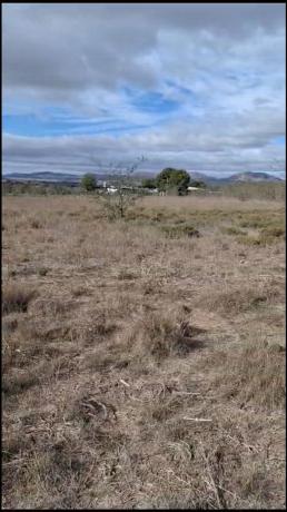 Terreno en Partida cabezos, 34, Las Virtudes, Villena photo 4