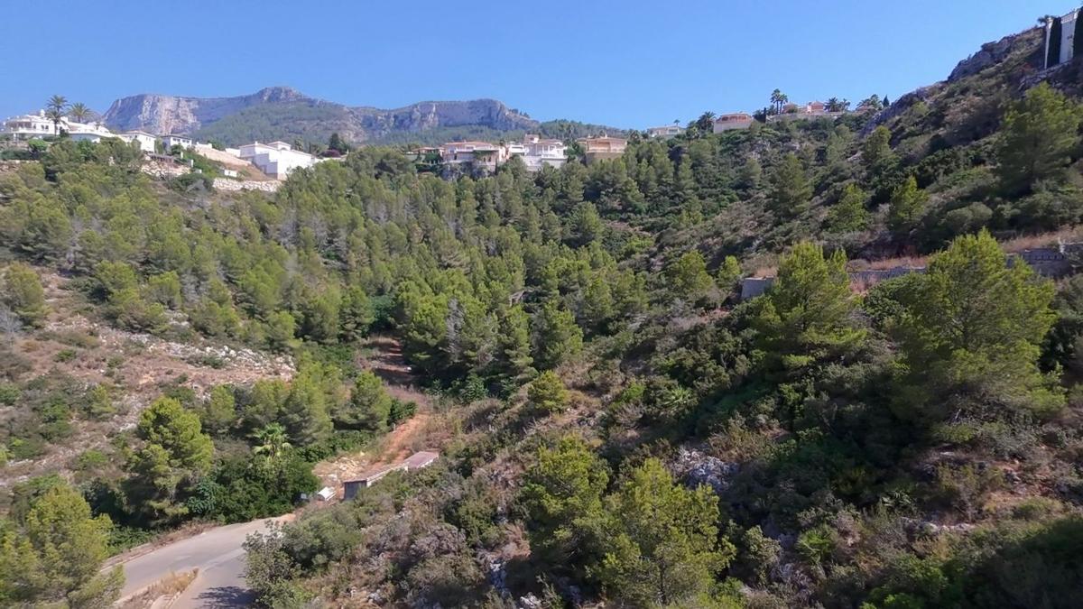 Land for sale in Denia, Alicante photo 4