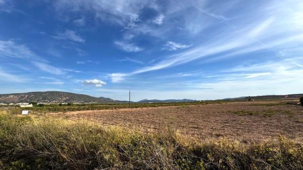 Terreno en Pinoso photo 2
